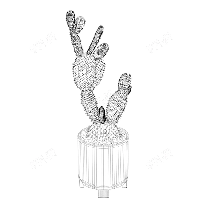 Terrazzo Opuntia Microdasys: 3D Plant Collection 3D model image 4