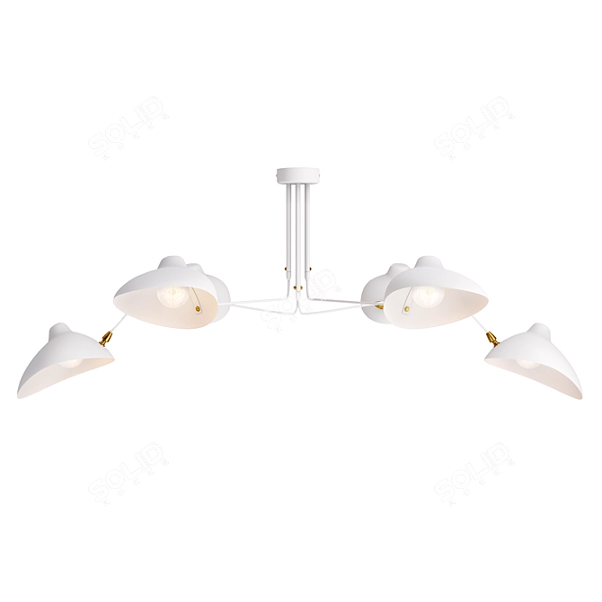 Sophisticated SPRUZZO Ceiling Chandelier 3D model image 2