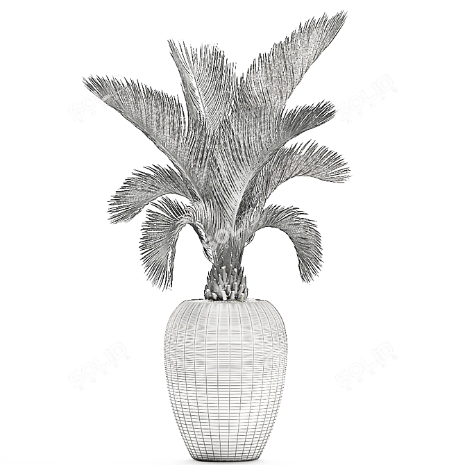 Tropical Palm in White Pot - Exotic, Indoor Plant 3D model image 5