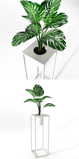 RIVIERA Flower Pot Set | Stylish Planters for Indoor & Outdoor Use 3D model image 2