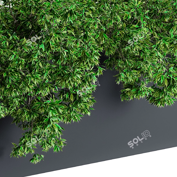 Green Paradise: Outdoor Planter 3D model image 3