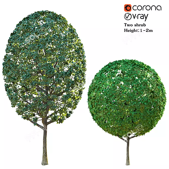 Dual-Leaf Shrub Combo | Corona Materials 3D model image 1