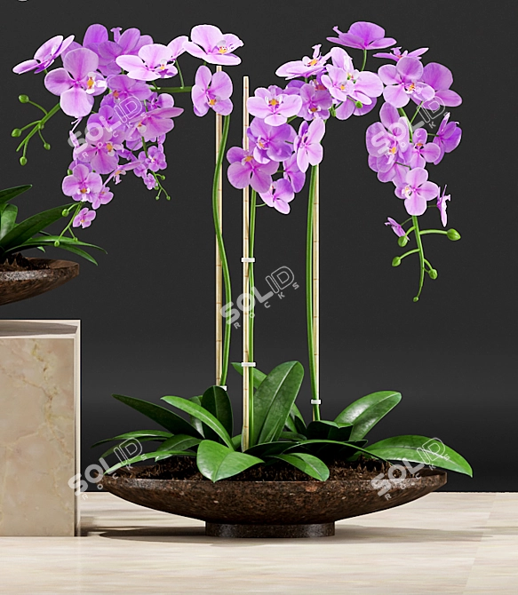 Orchid Pot: Plants & 3D Files 3D model image 3