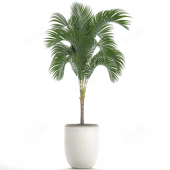 Tropical Palm in White Pot 3D model image 2