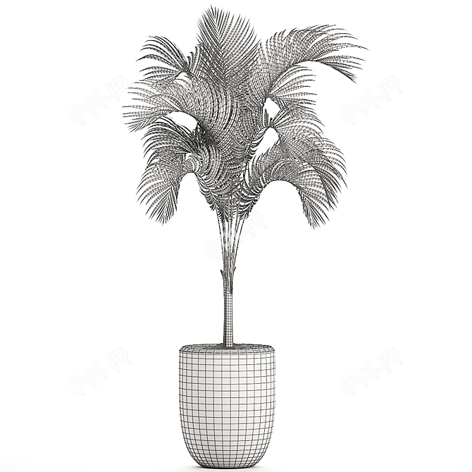 Tropical Palm in White Pot 3D model image 5