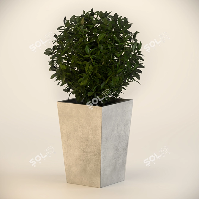 Sleek Concrete Planter 3D model image 1