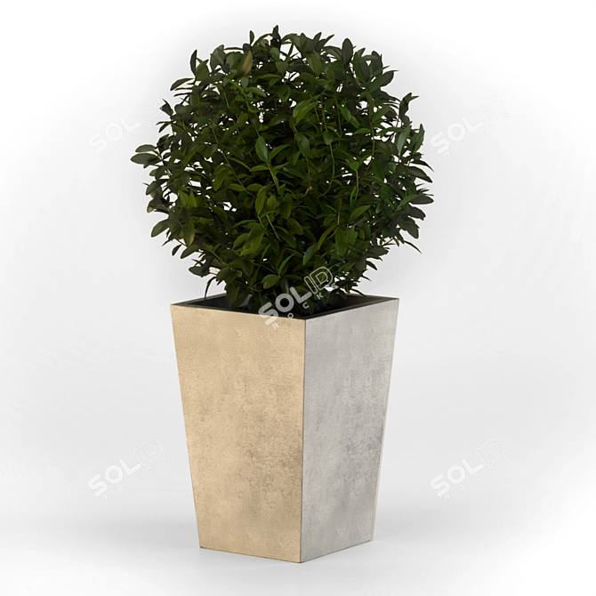 Sleek Concrete Planter 3D model image 3