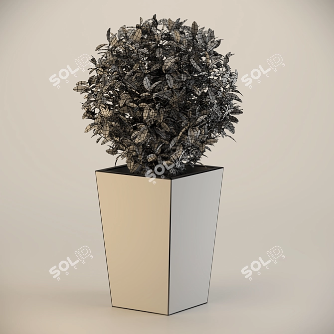 Sleek Concrete Planter 3D model image 4