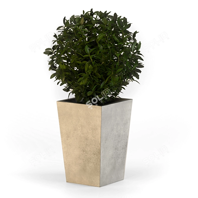 Sleek Concrete Planter 3D model image 7