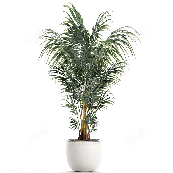 Tropical Palm: Exotic Indoor Plant Collection 3D model image 2