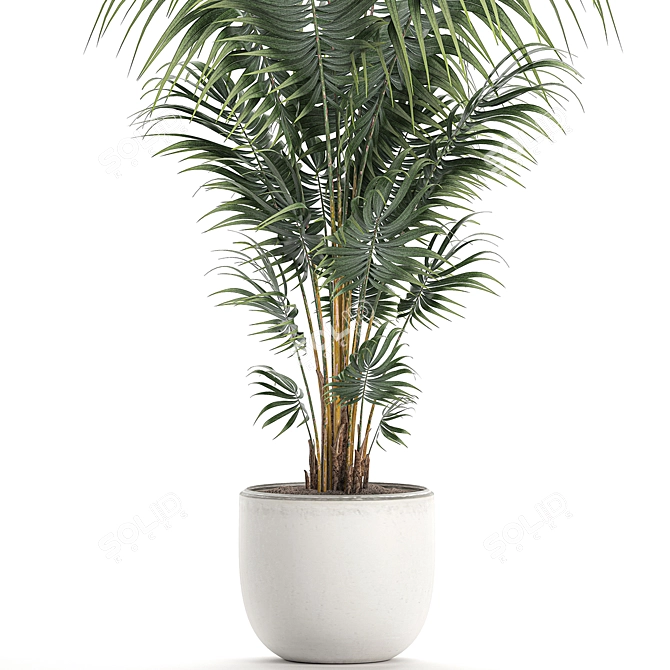 Tropical Palm: Exotic Indoor Plant Collection 3D model image 4