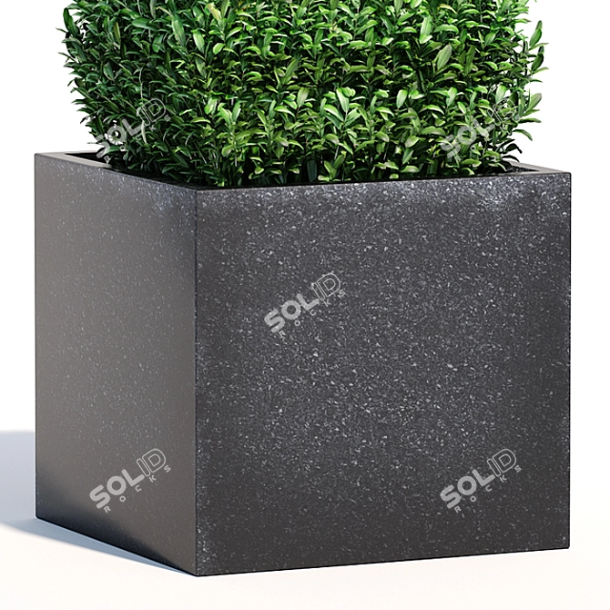 Lush Bush Plants for 3D Modeling 3D model image 3