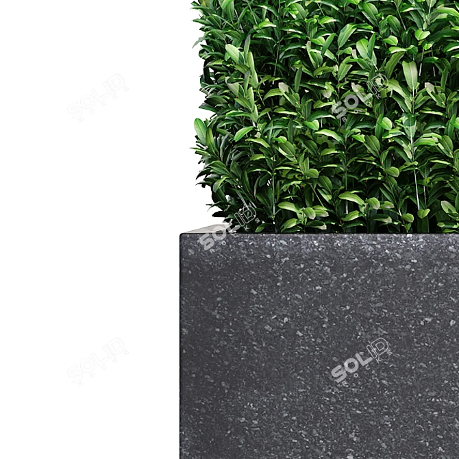 Lush Bush Plants for 3D Modeling 3D model image 5