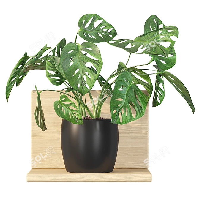 Tropical Leaf Decor: Monstera Monkey Mask 3D model image 1