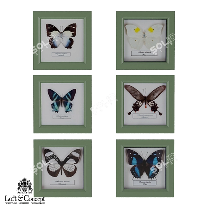 Elegant Butterfly Frame: Loft Concept 3D model image 1