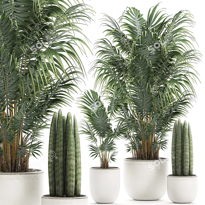 Tropical Paradise Plant Collection with White Pot 3D model image 1