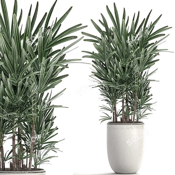 Exotic Tropical Indoor Plant Collection 3D model image 2