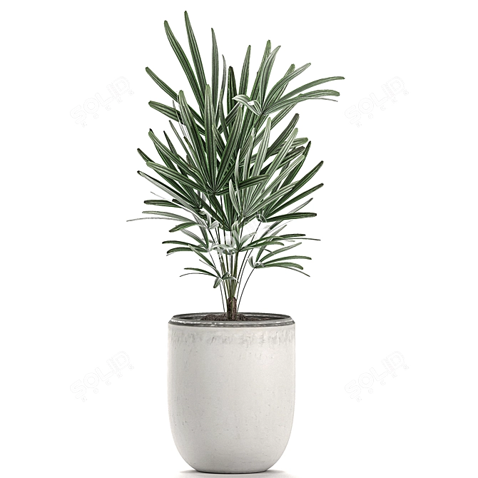 Exotic Tropical Indoor Plant Collection 3D model image 3