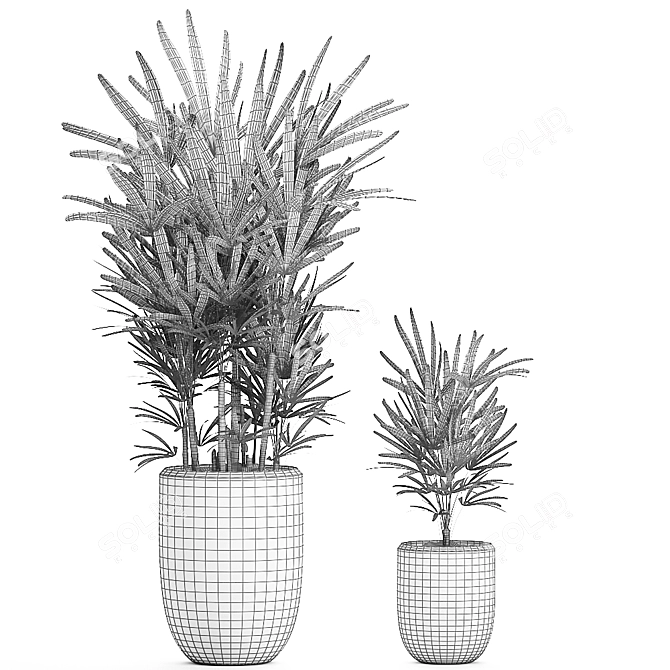 Exotic Tropical Indoor Plant Collection 3D model image 4