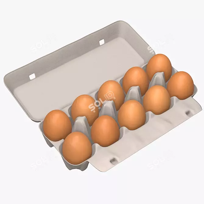 Egg Carton for 10 Eggs - Versatile and Durable 3D model image 1