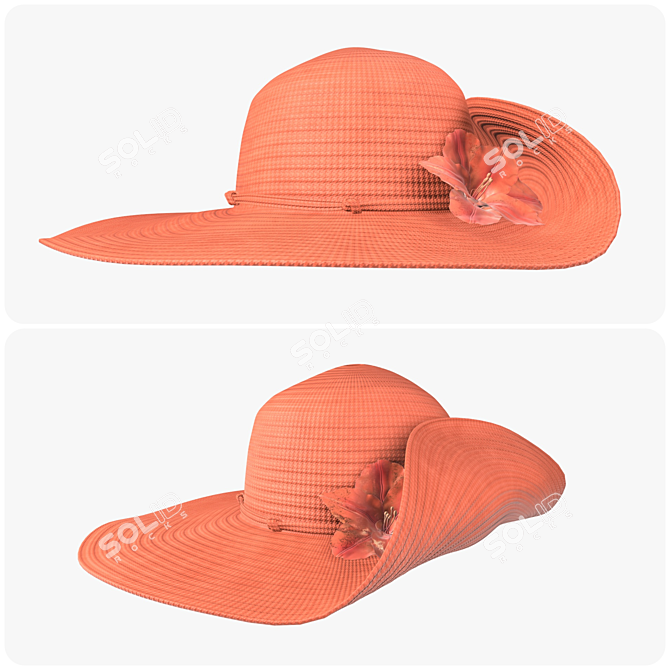 Summer Chic Floppy Hat 3D model image 2