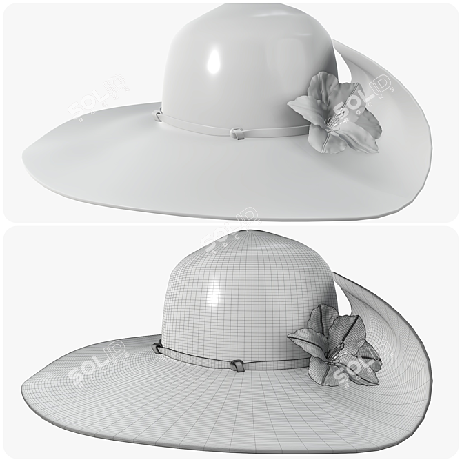 Summer Chic Floppy Hat 3D model image 4