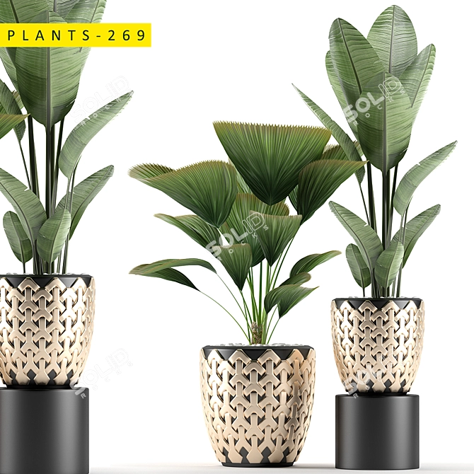 Title: 269 Plant Models 3D model image 1