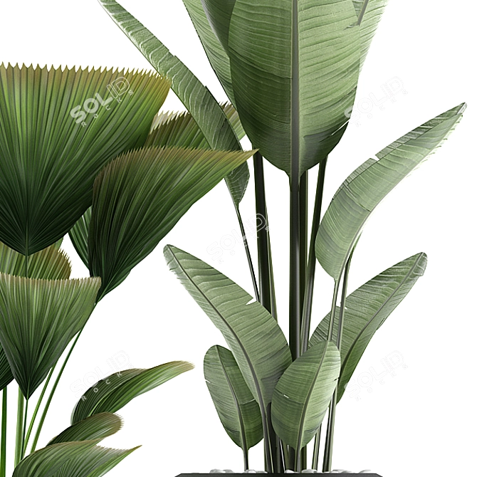 Title: 269 Plant Models 3D model image 2