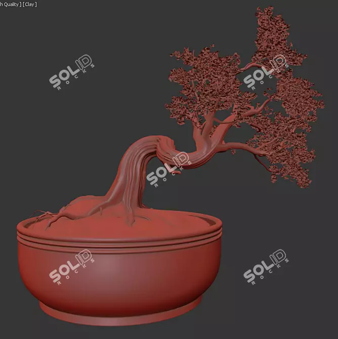 Elegant Bonsai Decor Tree 3D model image 3