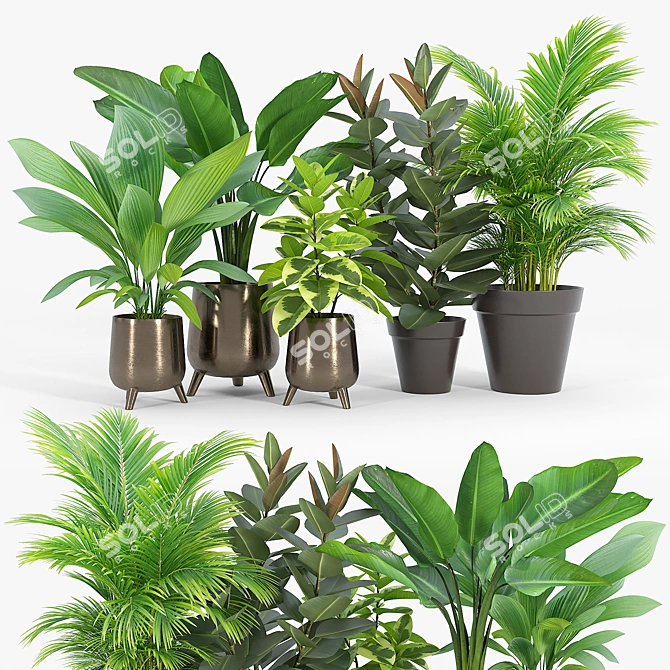 Lifelike Calathea Décor: Faux Potted Elegance 3D model image 1