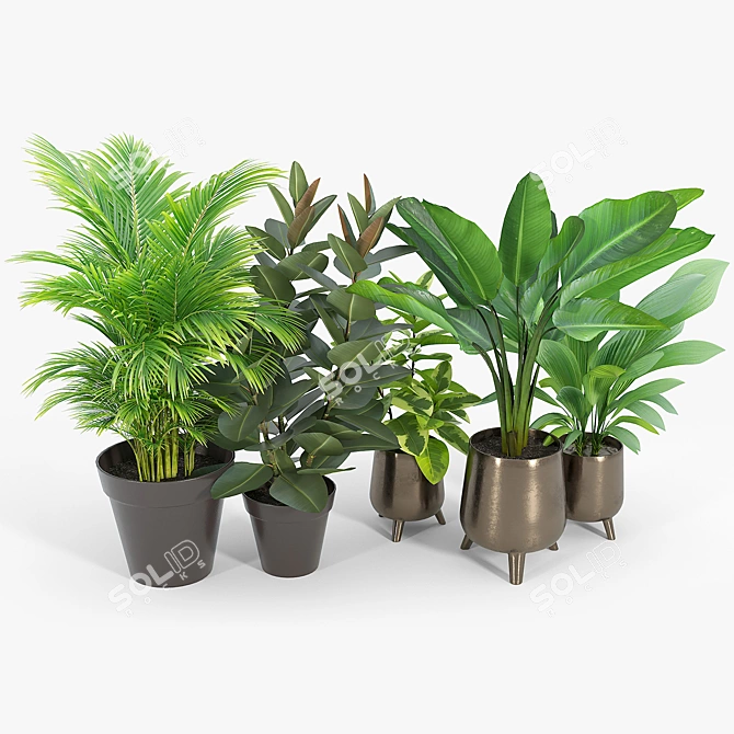 Lifelike Calathea Décor: Faux Potted Elegance 3D model image 3