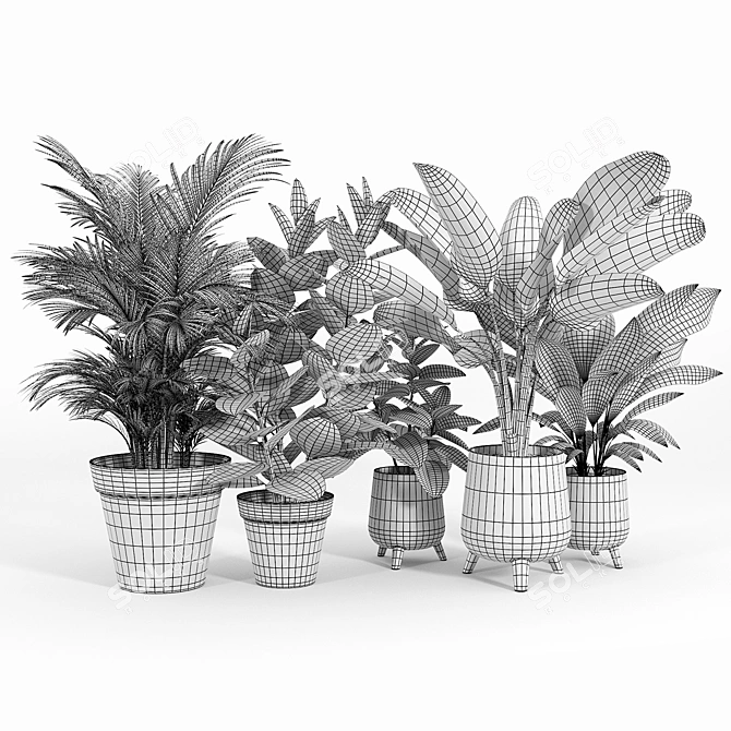 Lifelike Calathea Décor: Faux Potted Elegance 3D model image 5