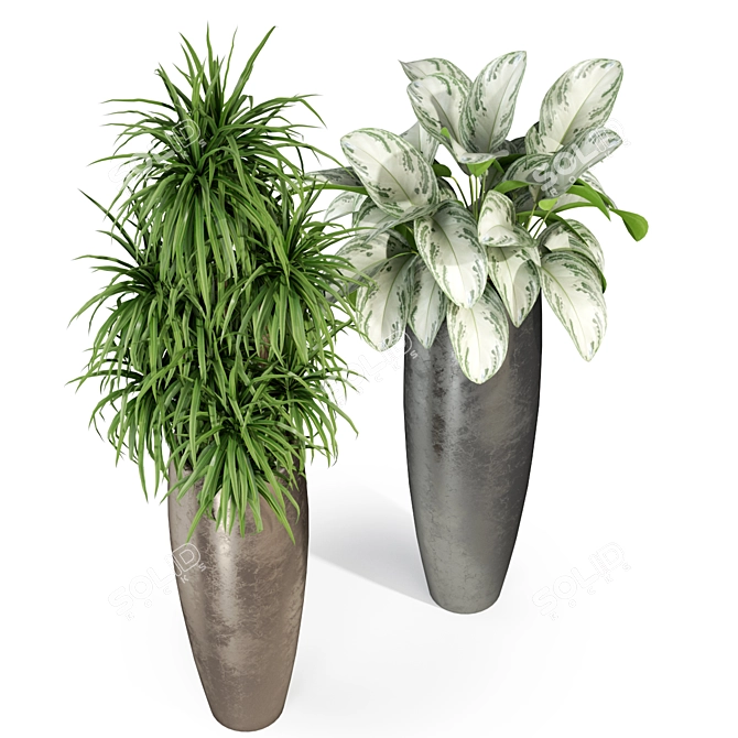 Exquisite Fleurami Royal Plant Collection 3D model image 2