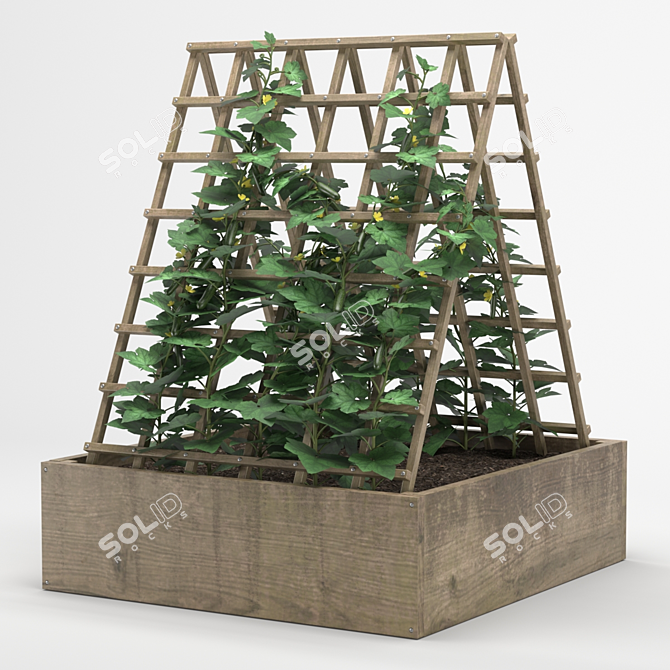 Cucumber Tree Pot 3D model image 1