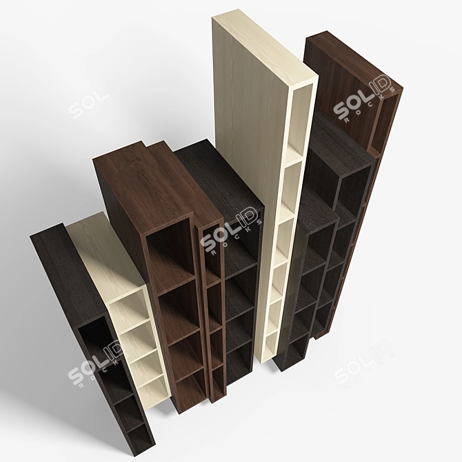 Elegant Ceccotti Skyline Bookcase 3D model image 3