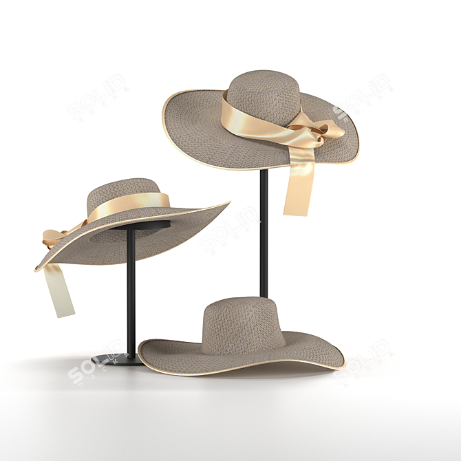 Title: Stylish Beach Hat For Summer Fun 3D model image 1