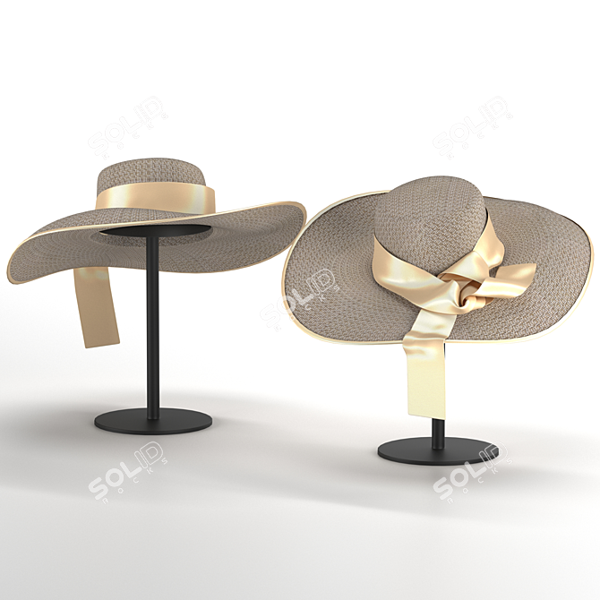 Title: Stylish Beach Hat For Summer Fun 3D model image 3