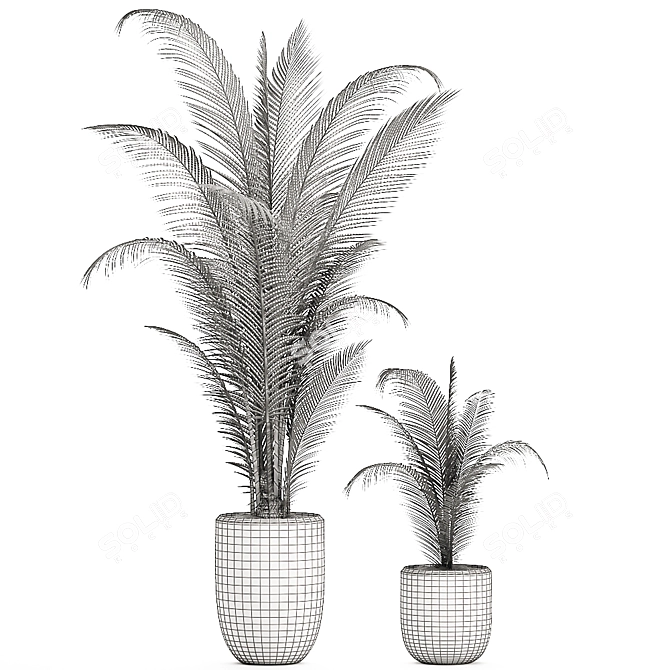 Tropical Paradise: Collection of Exotic Indoor Palms 3D model image 5