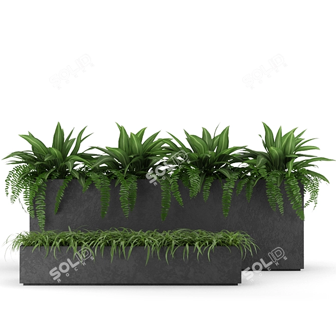 Indoor Outdoor Plant Collection 3D model image 1