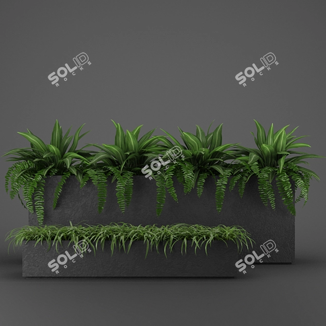 Indoor Outdoor Plant Collection 3D model image 3