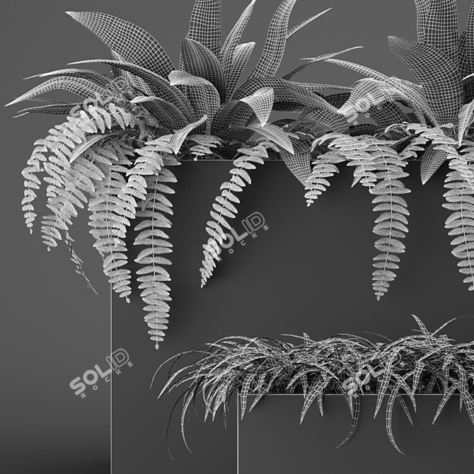 Indoor Outdoor Plant Collection 3D model image 5