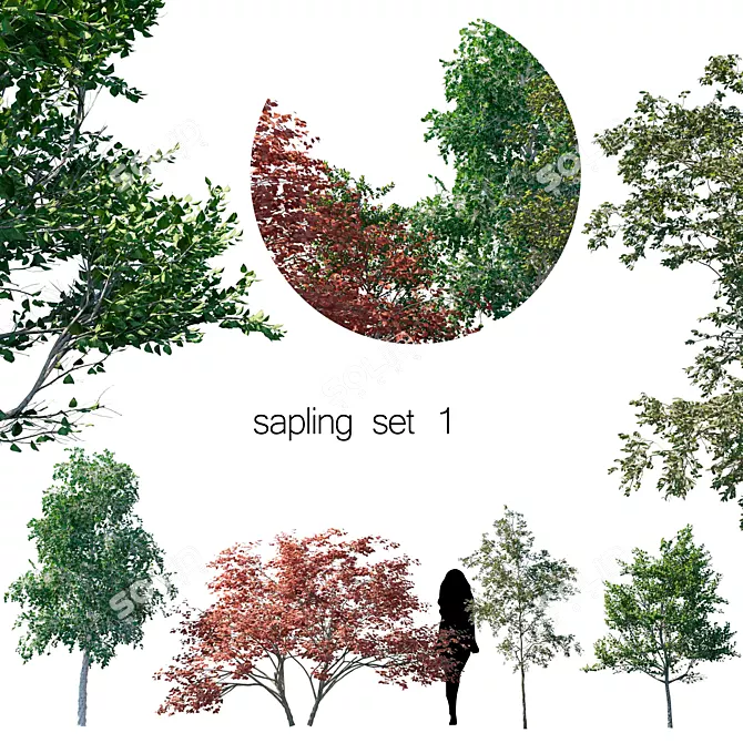 Growth Guru: Sapling Set 1 3D model image 1