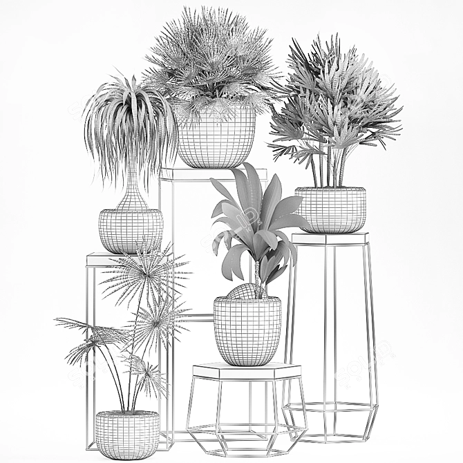 Indoor Plant Collection: Exotic and Tropical Varieties 3D model image 5