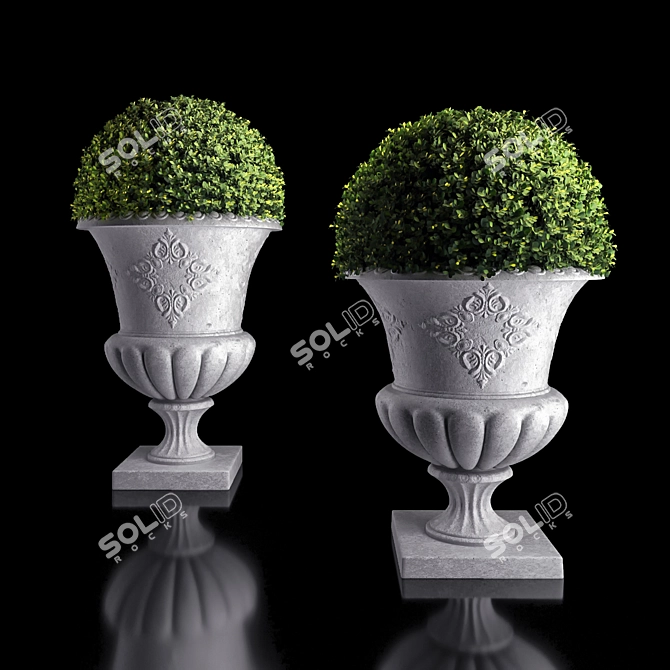 Concrete Urn Boxwood Planter 3D model image 1