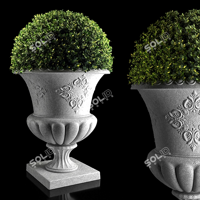 Concrete Urn Boxwood Planter 3D model image 2