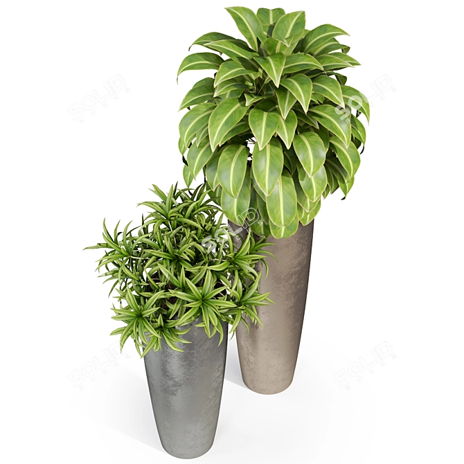 Royal Fleurami: Exquisite Plants Collection 3D model image 2