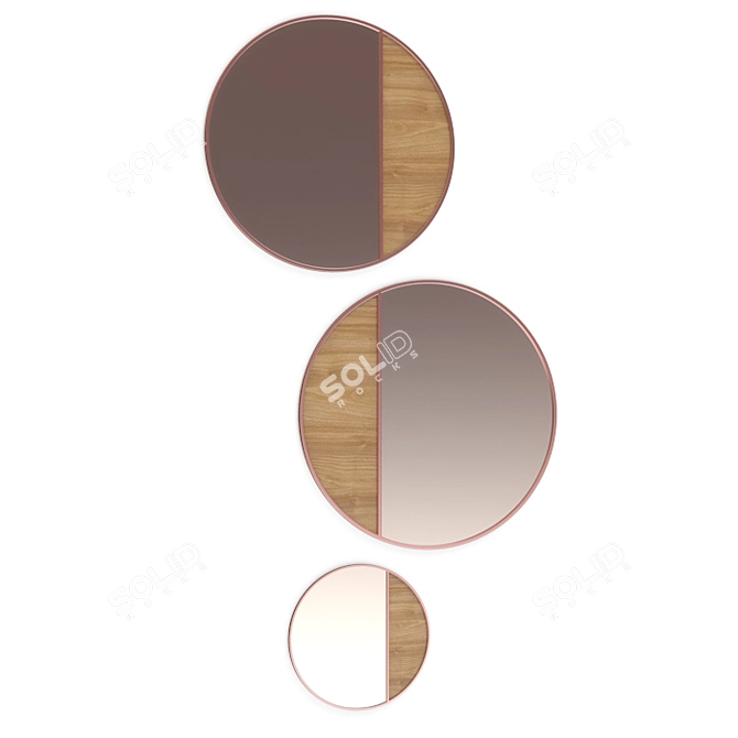 Elegant Circular Mirror 3D model image 1