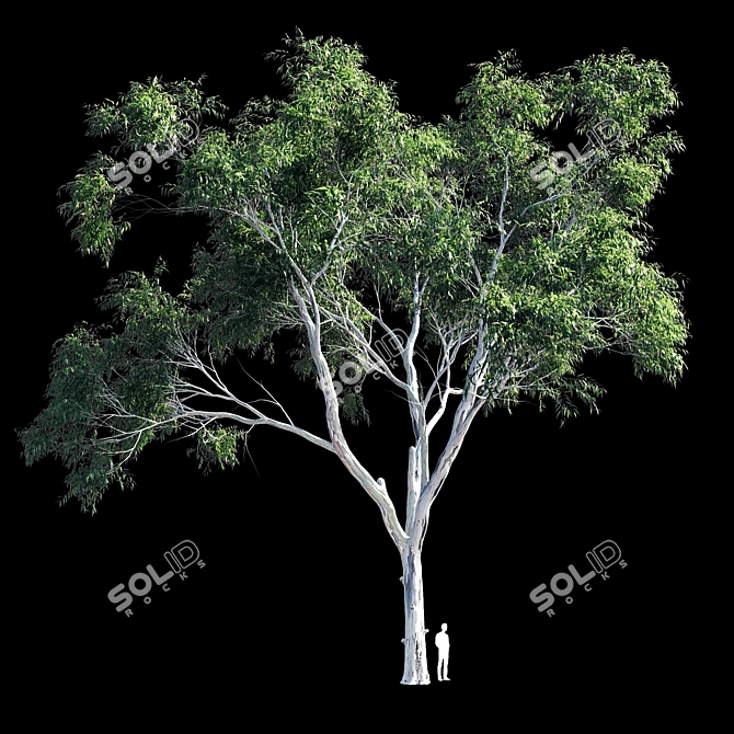 Eucalyptus 9 - Ultimate Polys:1,500,117 3D model image 1