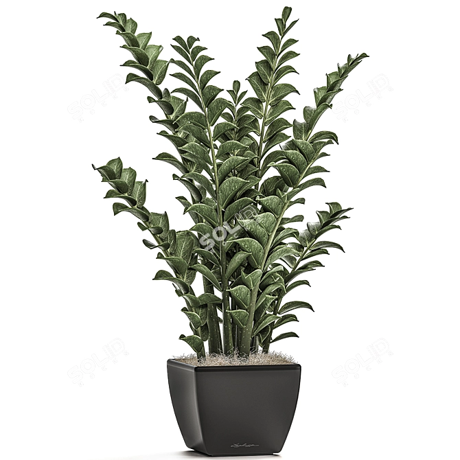 Exotic Tropical Plant Collection 3D model image 2