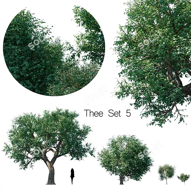 Elegant Tea Set for Five 3D model image 1